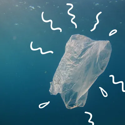 Visuel Gardiens Des Océans