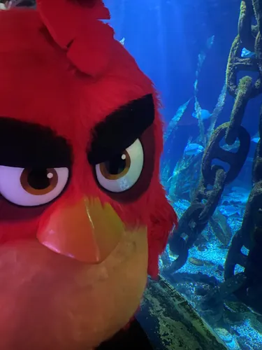 angry birds RED Titanic