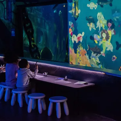 Aquarium Virtuel 1