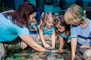 Sea Life Paris Schools