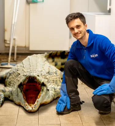 Bio Crocodile Jo24 2