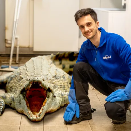 Bio Crocodile Jo24 2