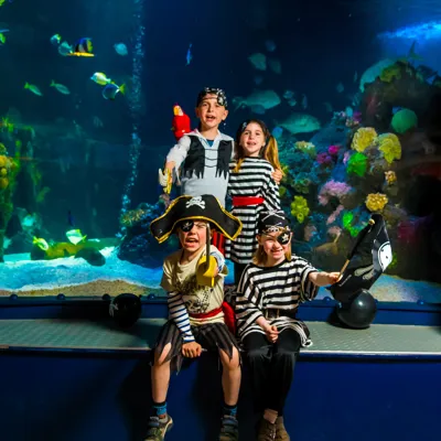 8307 Photoshoot TDF Tank Pirates Child 7