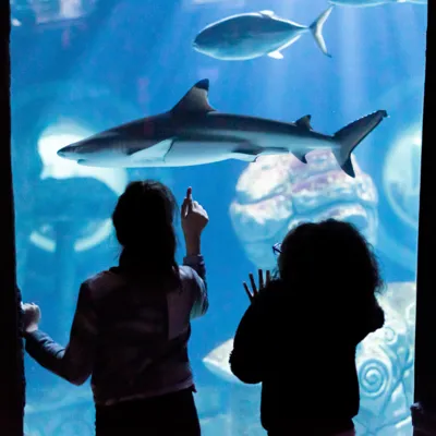 PHOTO Atlantis